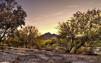 An arroyo roaring after a monsoon storm, deep in the Sonoran Desert, Arizona, trees, sky, mountains, usa HD wallpaper