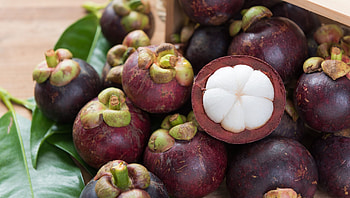 Mangosteen, Exotic fruit, Purple, Tropical HD wallpaper