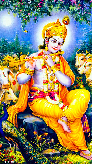 Krishna, Basuri, Murlidhar, Kanha, Vishnu HD phone wallpaper