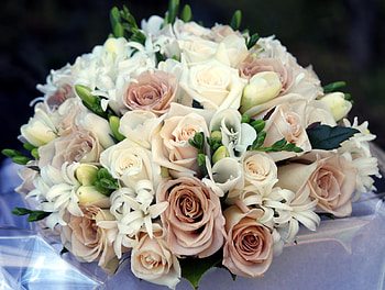 Flowers, Roses, Registration, Typography, Bouquet, Tenderness, Composition, Hyacinths HD wallpaper