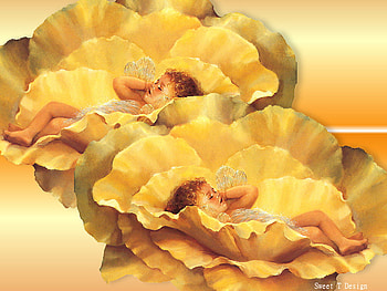 Napping Fairies, nap, babies, cute, baby, napping, baby fairy, fairy, baby fairies, pretty, yellow, flowers, fairies HD wallpaper