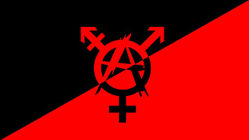 Trans Anarcho-Communist Flag ... HD wallpaper