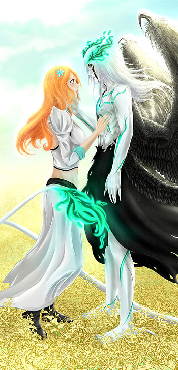 Trail of tears, couple, Anime, Bleach, anime couple HD phone wallpaper