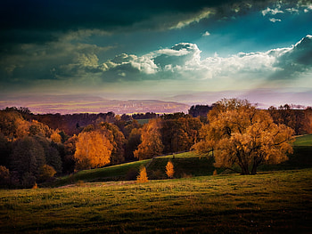 AUTUMN COLORS, trees, autumn, color, burntorange HD wallpaper