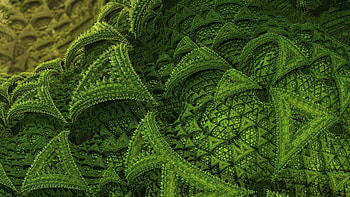 Abstract, Plant, Lines, Form, Forms, Points, Point HD wallpaper