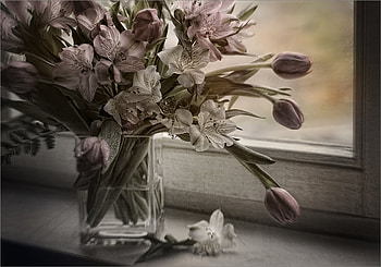 Lovely flowers, bouquet, window, vase, beautiful, flowers, tulips, beauty HD wallpaper