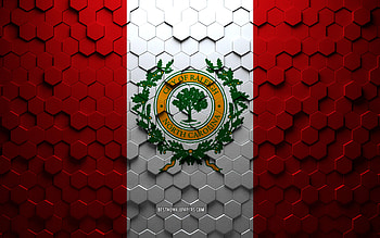 Flag of Raleigh, North Carolina, honeycomb art, Raleigh hexagons flag, Raleigh, 3d hexagons art, Raleigh flag HD wallpaper