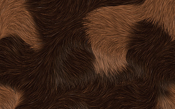 Brown fur texture, Macro view, Wool textures, High quality HD wallpaper