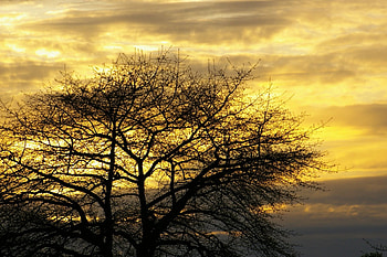 Stormy Sky, sky, nature, storms HD wallpaper