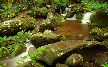 Nature, Stones, Forest, Branch, Moss, Gurgling, Murmur, Creek, Brook, Source HD wallpaper