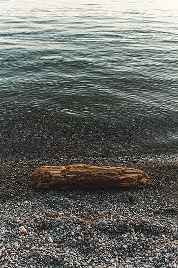 Nature, Pebble, Sea, Coast, Log HD phone wallpaper