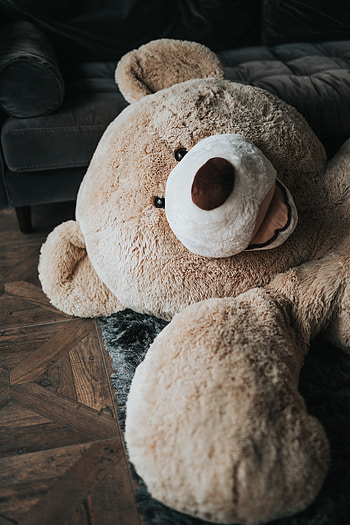 Miscellanea, Miscellaneous, Bear, Toy, Plush HD phone wallpaper