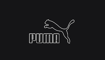 Puma, Unique Pumas HD wallpaper