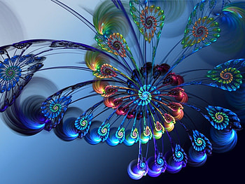 graphic flower, graphic, beautiful, 3d, flower HD wallpaper