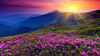 Texas Hill Country, Hill HD wallpaper