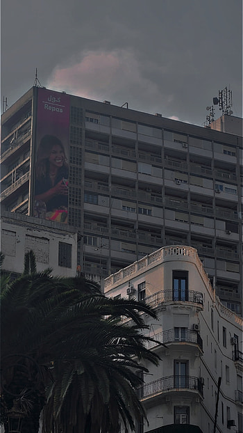 Algiers the Capital, city, urban HD phone wallpaper