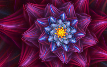 Abstract, Flower, Bright, Lines, Colorful, Colourful HD wallpaper