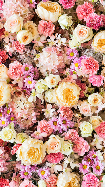 Carnation, Rose, Peony, , Flower, Colors, Pink Flower, Pastel, Daisy, White Flower, Flowers HD phone wallpaper