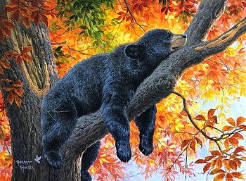 Fall Dreams, dreams, colors, forests, paintings, love four seasons, leaves, bear, animals, trees, autumn, nature, fall season HD wallpaper
