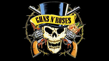 Preview guns n roses, revolvers, skull, cylinder, rose HD wallpaper