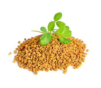 Fenugreek powder, Methi, Hair care HD wallpaper