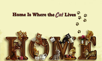 Home is Where the Cat Lives F2, animal, art, feline, cat, kittens, artwork, painting, pet, home HD wallpaper