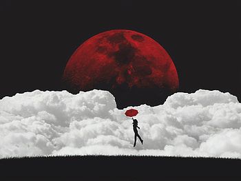 Fly Me To The Moon, artist, artwork, digital-art, artstation HD wallpaper