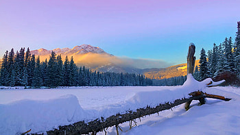 Sunset on the frozen Bow River, Banff, Alberta, winter, snow, clouds, trees, landscape, sky, water, ice, colors HD wallpaper