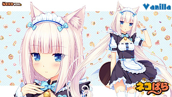 Nekopara s HD wallpaper
