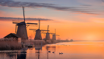 Windmill Village In Netherlands, windmill, world, netherlands, graphy HD wallpaper