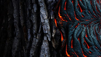 Vivid abstract of glowing lava texture against dark tree bark. Perfect for nature-themed designs. HD wallpaper