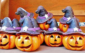 Holidays, Halloween, Pumpkin, Hat HD wallpaper