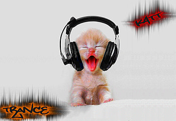trance cat, trance, and, kitty, cat, kat HD wallpaper