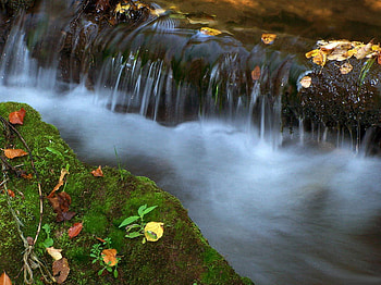 Autumn River, mist, falls, river, fog, leaves, autumn, nature, stream HD wallpaper