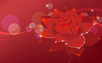 Red flower, flowers, red HD wallpaper