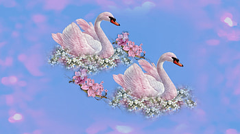 ~*~ Romance ~*~, swans, , flowers, romance, romantic HD wallpaper