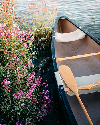 Flowers, Water, Coast, Miscellanea, Miscellaneous, Boat, Paddle, Oar HD phone wallpaper