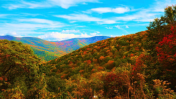 Blue Ridge Mountains, North Carolina, fall, autumn, clouds, trees, colors, sky, forest, hills, landscape, usa HD wallpaper