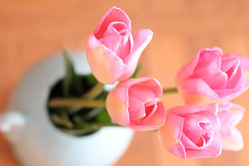 Pretty Light Spring, pink, delicate, bouquet, pretty, light, tulips, spring HD wallpaper