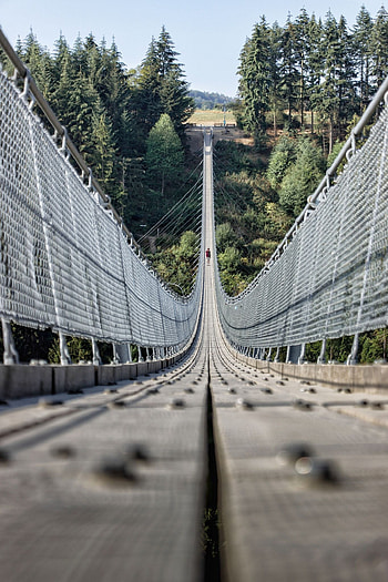 Geierlay Bridge exploration, Bridge travel tips, Scenic pathways, Bridge adventure HD phone wallpaper