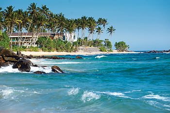 Serene Sri Lankan beach with palm trees and turquoise ocean waves. HD wallpaper
