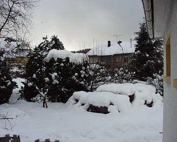 Winterwonderland, winter, trees, snow, christmas HD wallpaper