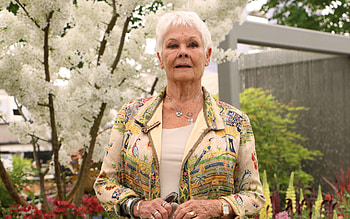 Judi Dench, Movies HD wallpaper
