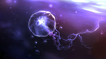 Glowing jellyfish, Vibrant , Underwater creatures, Bioluminescence HD wallpaper