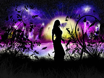 Fantasy sunset, flowers, girl, sun, woman, dark HD wallpaper