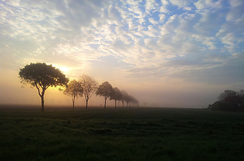 Clouds, dawn, morning, haze, landscape, trees HD wallpaper