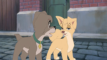Lady and the Tramp, Angel and Scamp, Disney fan , Heartwarming moment HD wallpaper