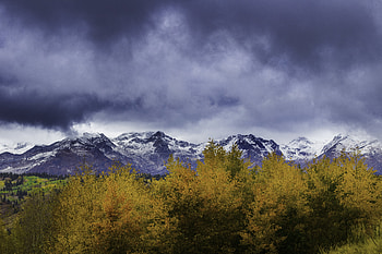 Nature, Mountains, Snow, Bush HD wallpaper