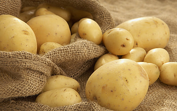 Potato , High definition, Background , Digital display HD wallpaper