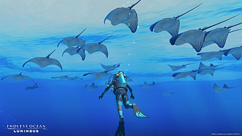Endless Ocean HD wallpaper